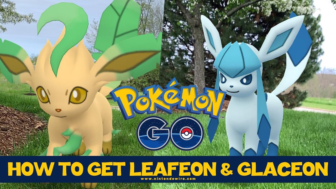 How To Get Leafeon & Glaceon In Pokémon Go - Evolve Eevee Into Glaceon Pokemon Go , HD Wallpaper & Backgrounds