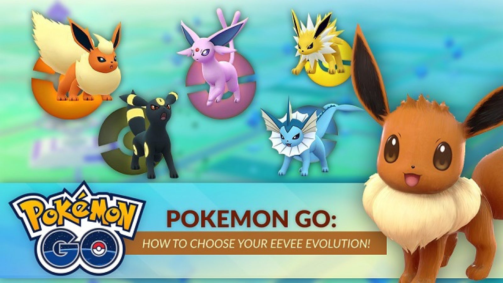Eevee Evolutions Pokemon Go - Pokemon Sword And Shield Eevee Evolution , HD Wallpaper & Backgrounds