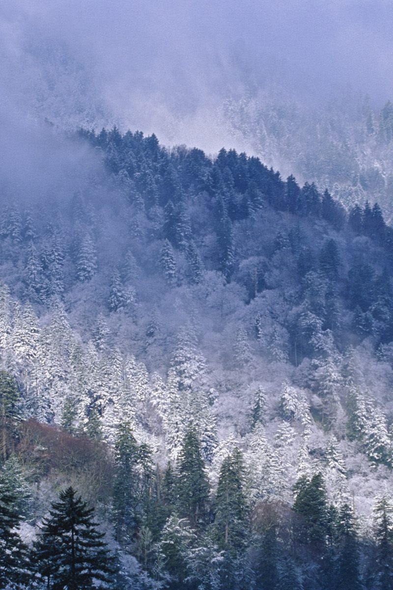 Wallpaper Great Smoky Mountains, Tennessee, Mountains, - Great Smoky Mountains Berge , HD Wallpaper & Backgrounds