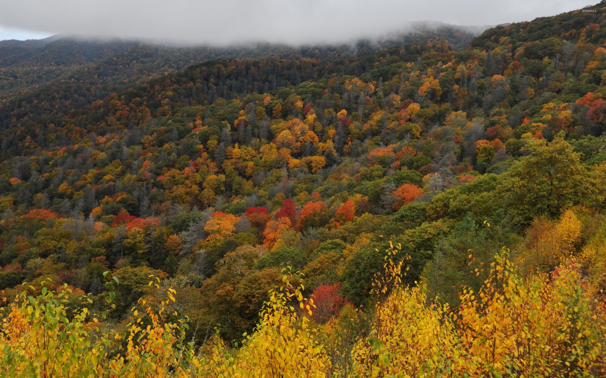 Hd Smoky Mountain 4k Pic - Great Smoky Mountains 4k , HD Wallpaper & Backgrounds