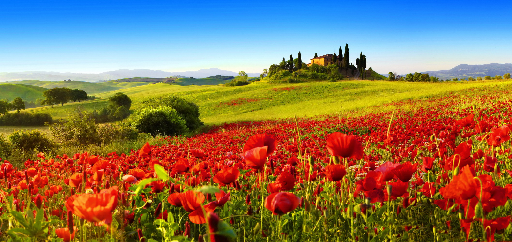 Toscana , HD Wallpaper & Backgrounds