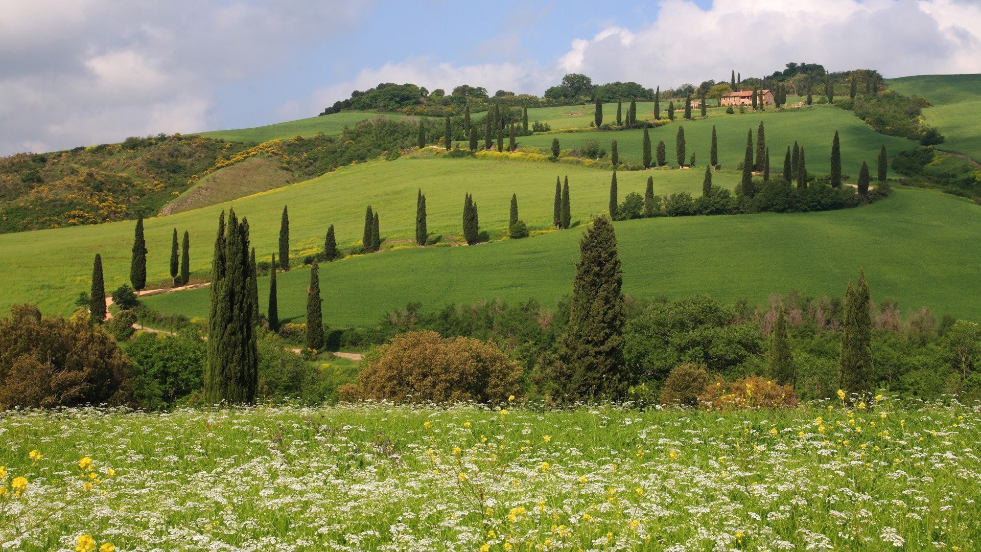 Tuscany,colourful, Iphone, Hills, Pienza, Siena, Mobile - Tuscany Italy , HD Wallpaper & Backgrounds