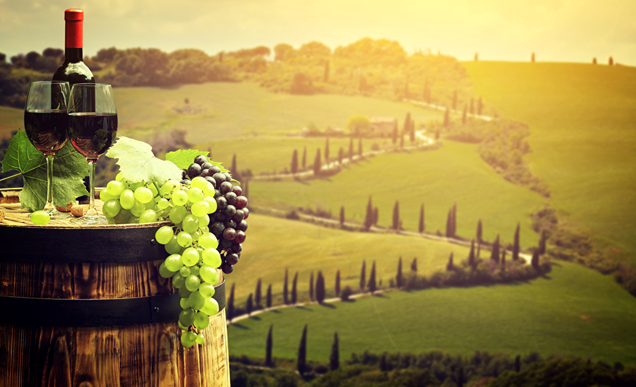 Toscana Wallpaper - Wine In Tuscany , HD Wallpaper & Backgrounds