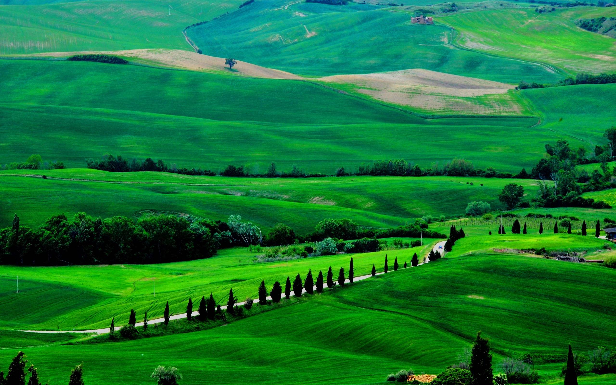 Fields Trees Italy Road Tuscany Wallpaper - Desktop Wallpaper Green Nature , HD Wallpaper & Backgrounds