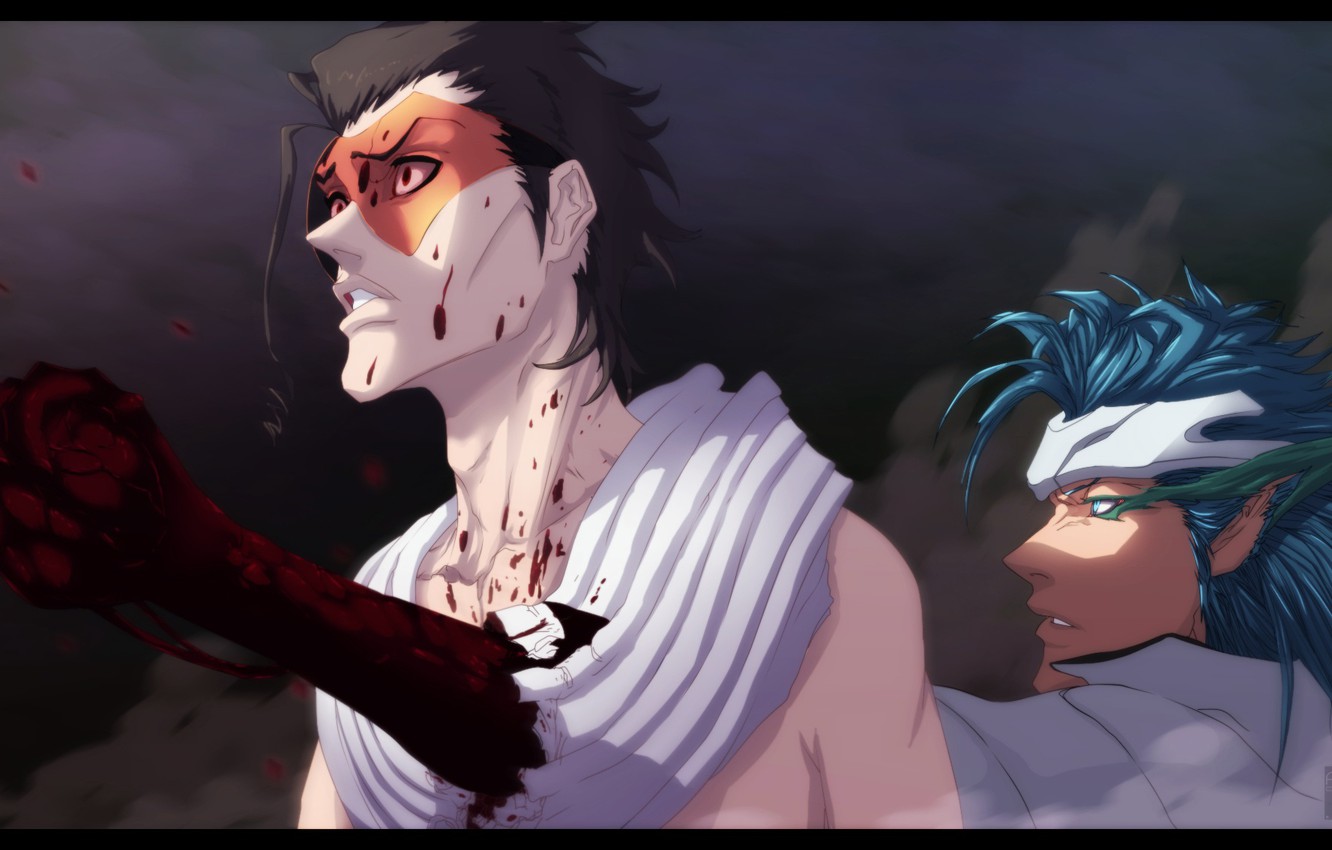 Photo Wallpaper Bleach, Grimmjow, Askin - Thousand Year Blood War Grimmjow , HD Wallpaper & Backgrounds