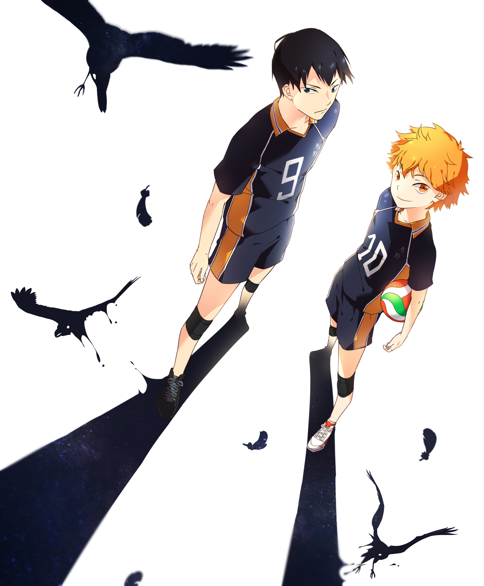 Hinata Shoyo And Kageyama Tobio , HD Wallpaper & Backgrounds