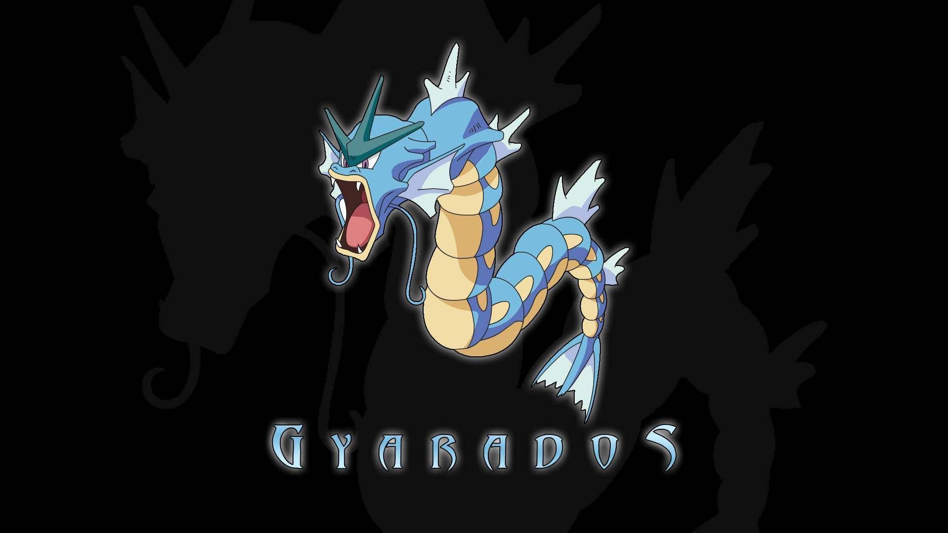 Gyarados Wallpaper - Hd Wallpapers Pokemon Gyarados , HD Wallpaper & Backgrounds