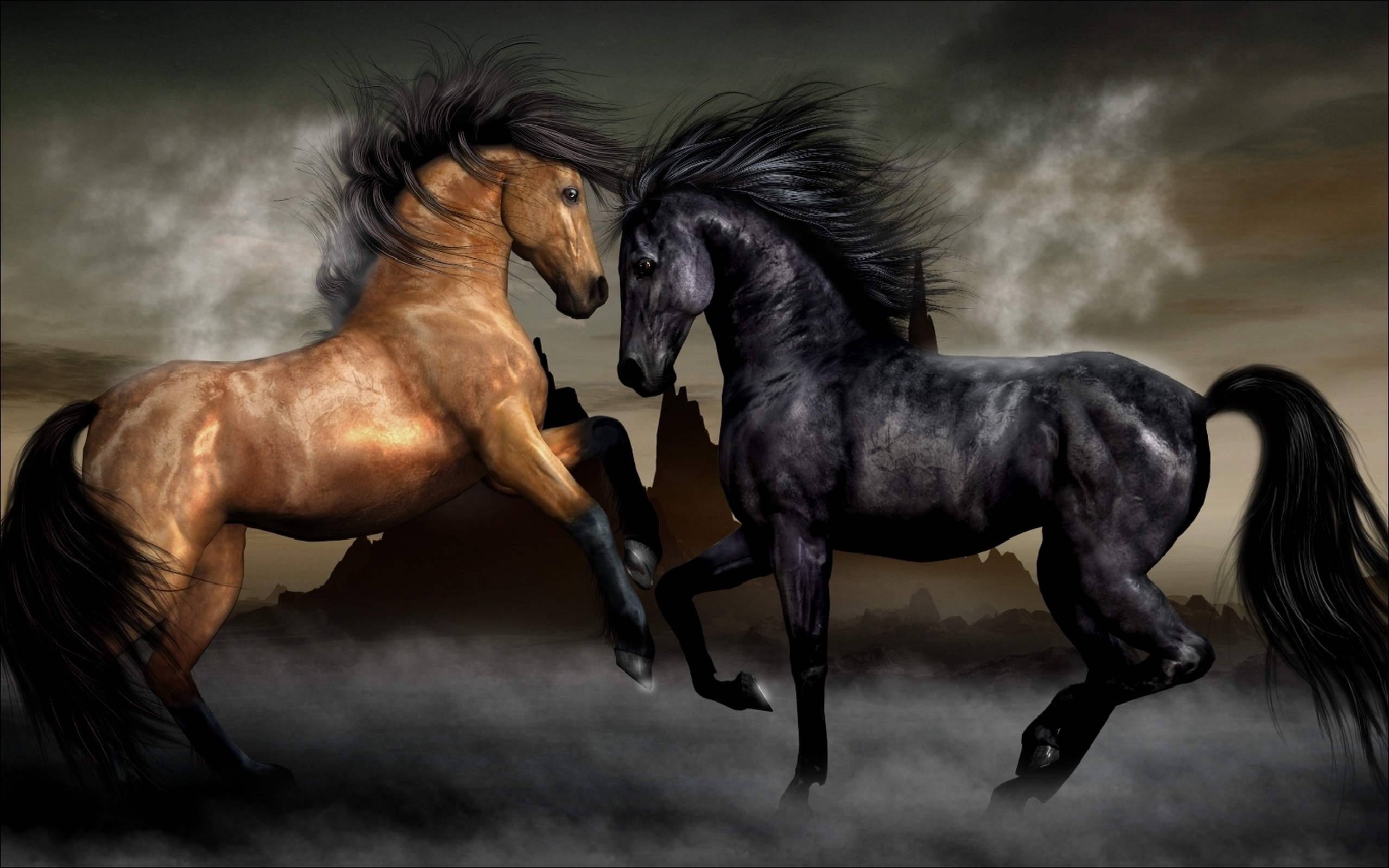 Hd Wallpaper - Brown And Black Horse , HD Wallpaper & Backgrounds