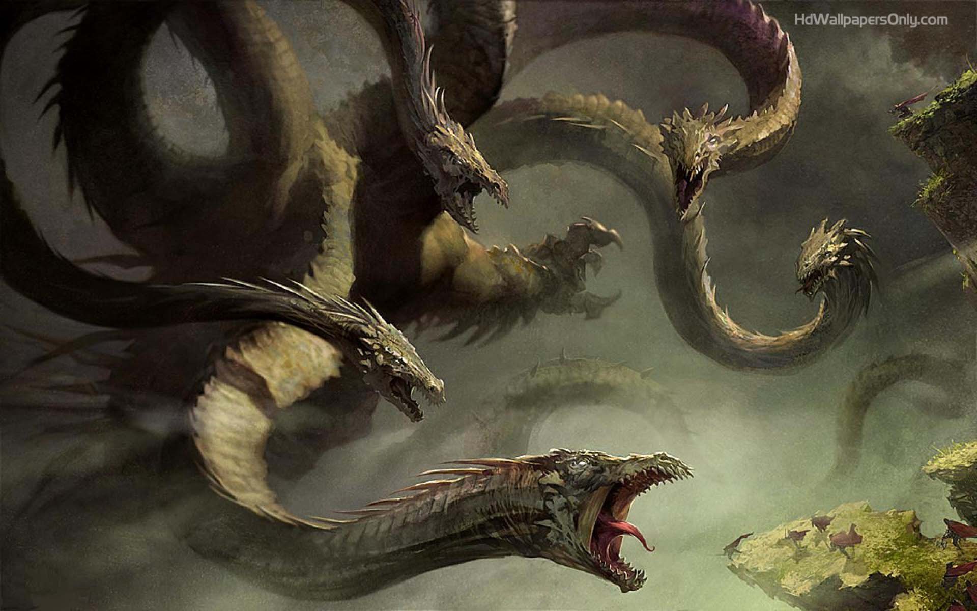 4k Dragon Wallpaper - Hydra Hd , HD Wallpaper & Backgrounds