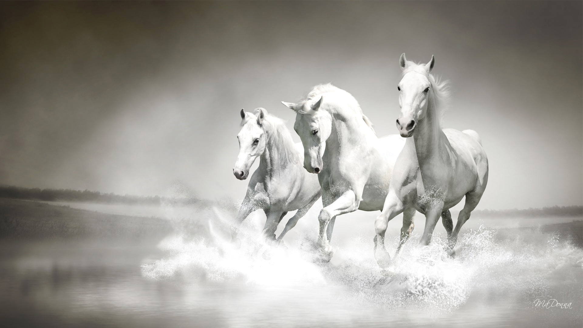Horse - High Resolution Horse Hd , HD Wallpaper & Backgrounds