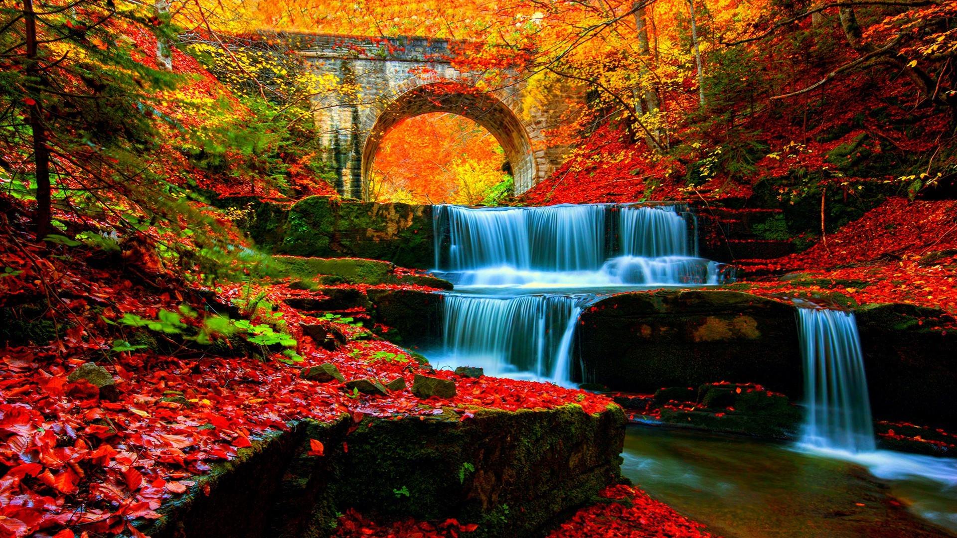 Autumn Waterfall In The Forest Wallpaper - Autumn Waterfall , HD Wallpaper & Backgrounds