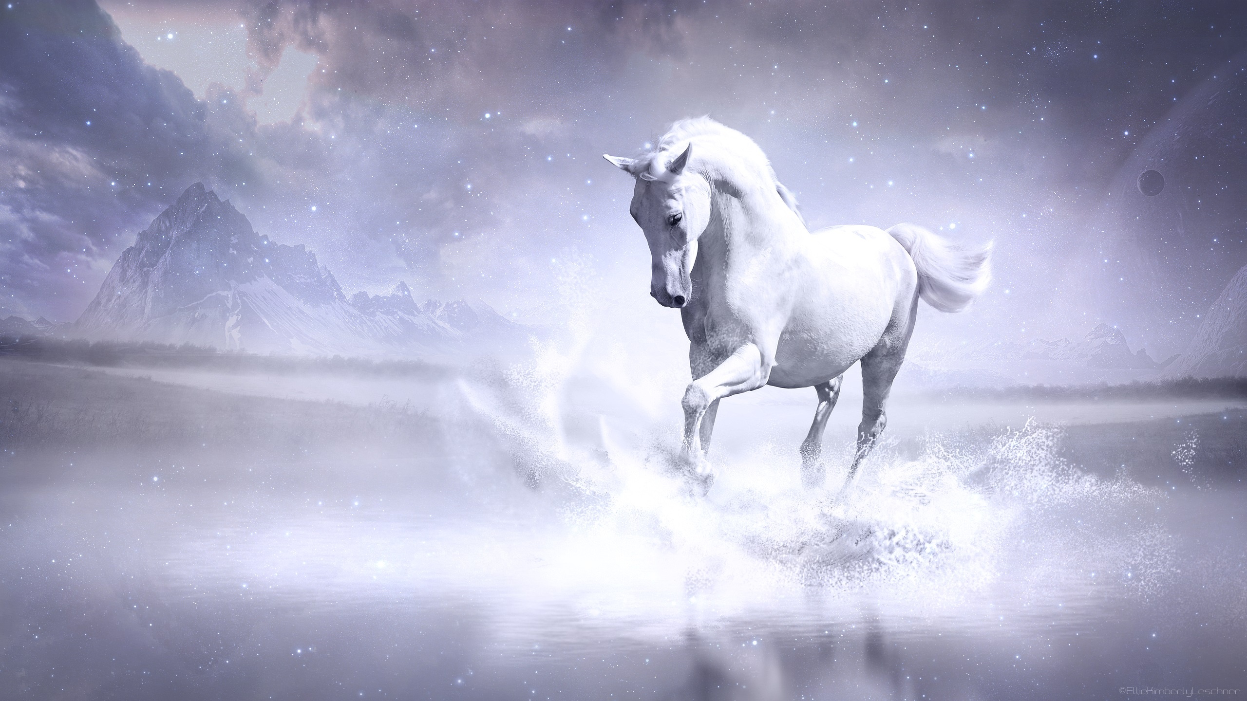 White Horse Wallpaper - White Horse Hd , HD Wallpaper & Backgrounds