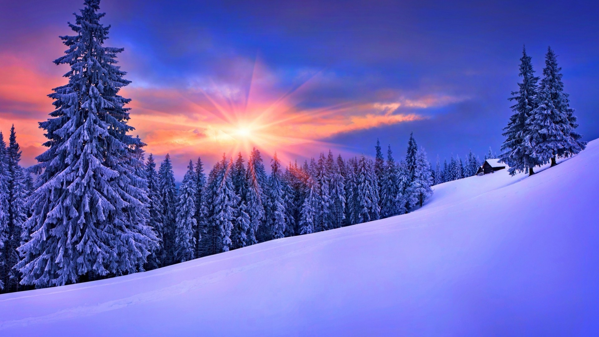 Winter Nature Wallpaper Hd - Winter Landscape , HD Wallpaper & Backgrounds