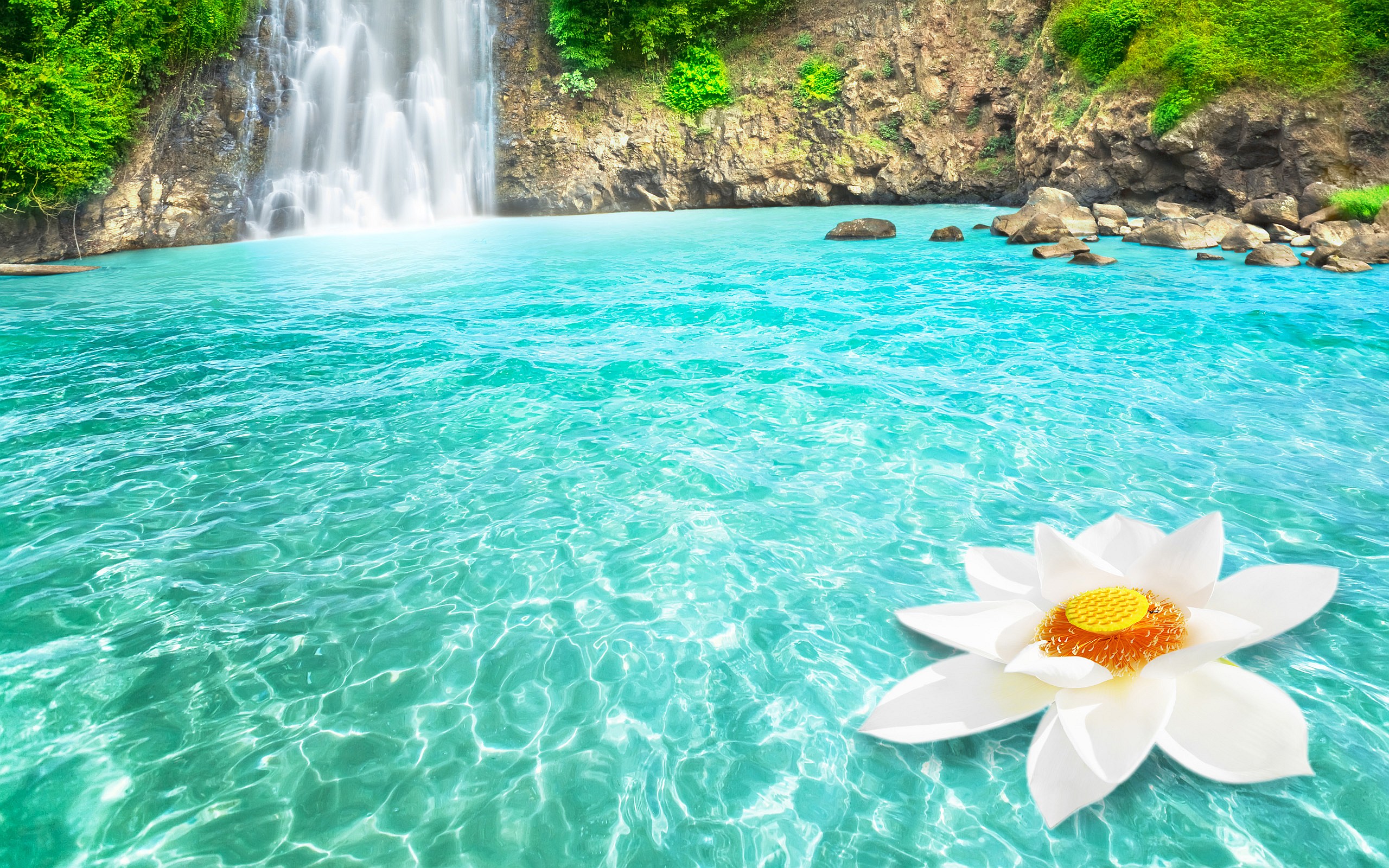 Tropical Waterfall And White Lotus Hd Wallpaper - Beautiful Live Wallpaper Hd , HD Wallpaper & Backgrounds