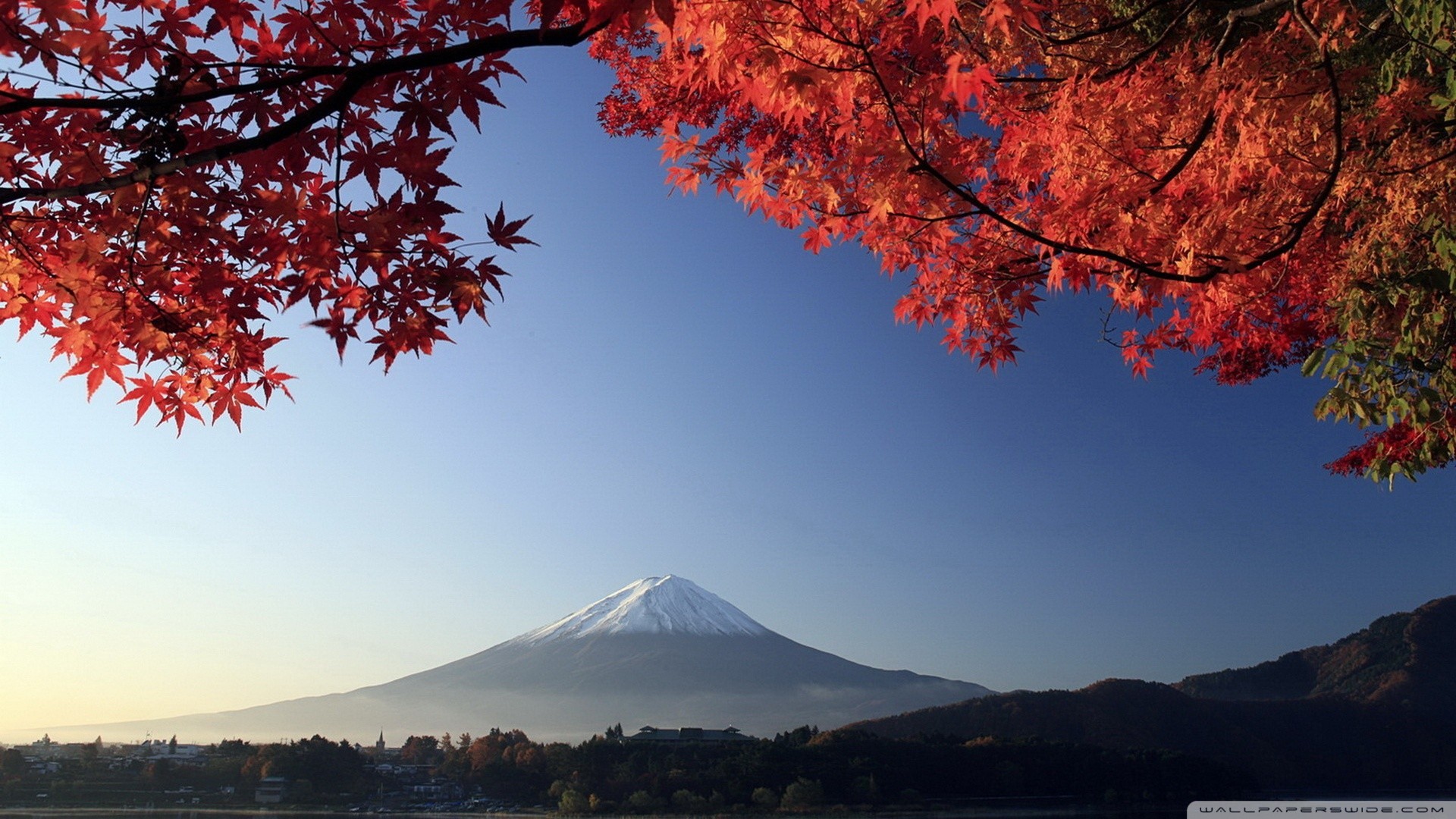 Japanese Wallpapers - Autumn Wallpaper Japan , HD Wallpaper & Backgrounds