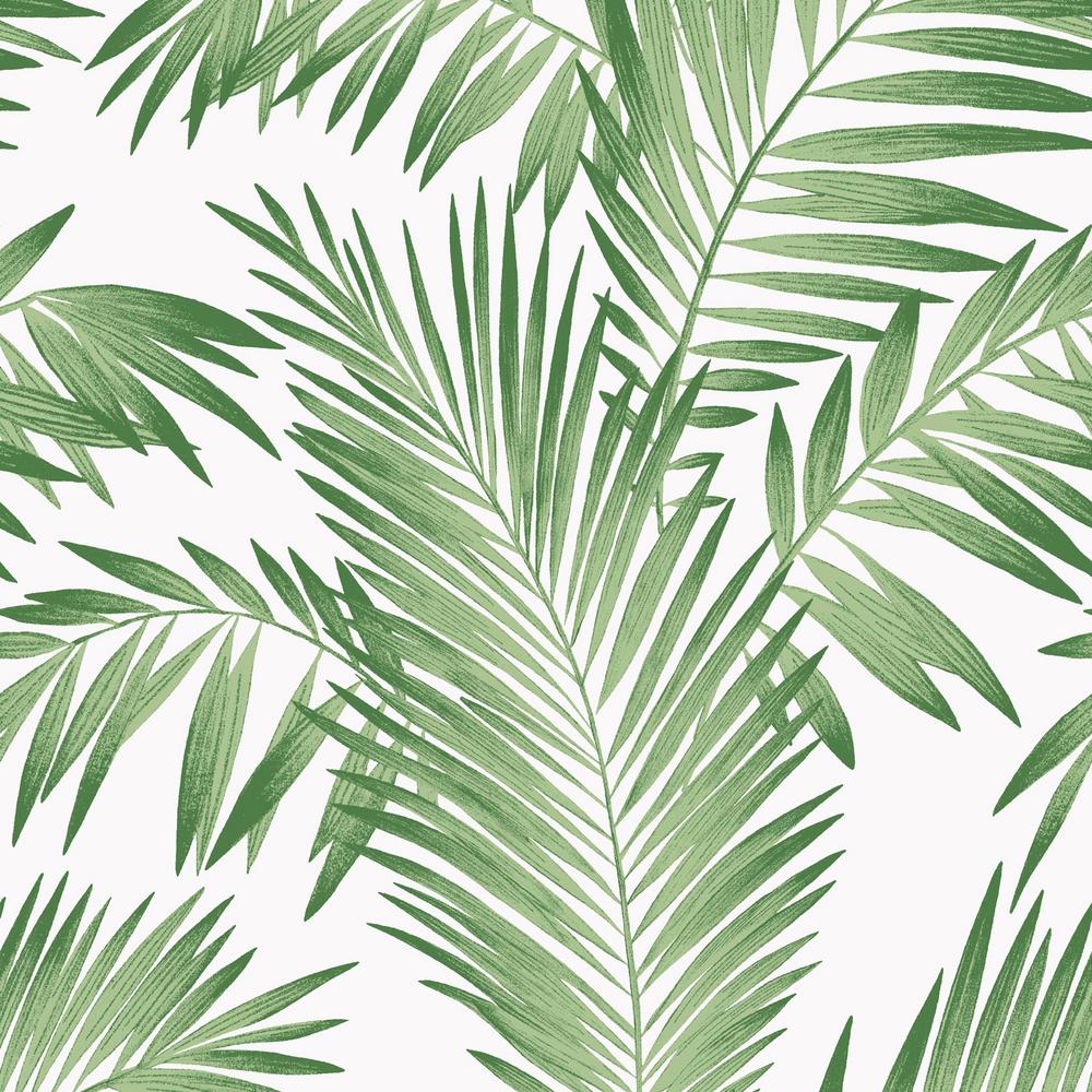 Tropical Palm Green Wallpaper - Palm Leaves Aesthetic Background , HD Wallpaper & Backgrounds