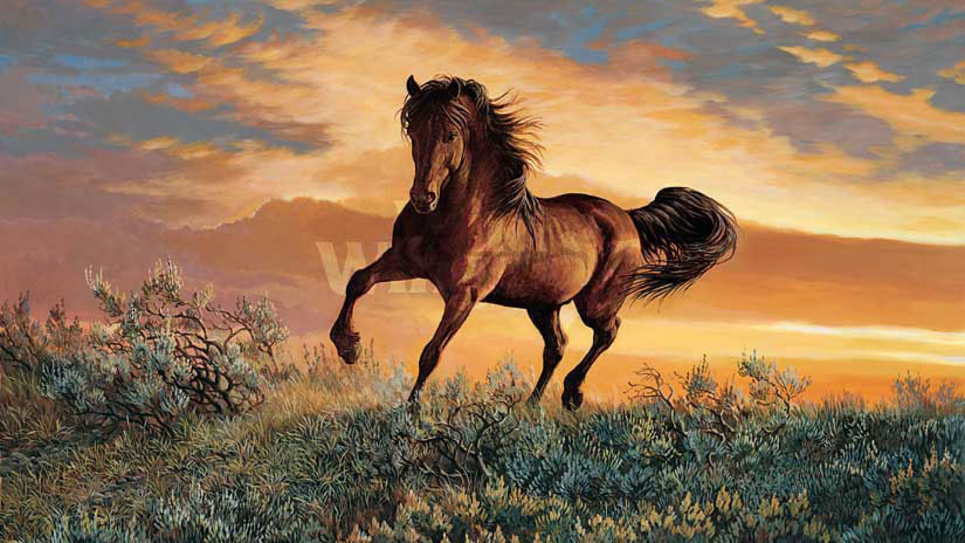 Wild Horses Mustang Wallpaper - Mustang Horse Wallpaper Hd , HD Wallpaper & Backgrounds
