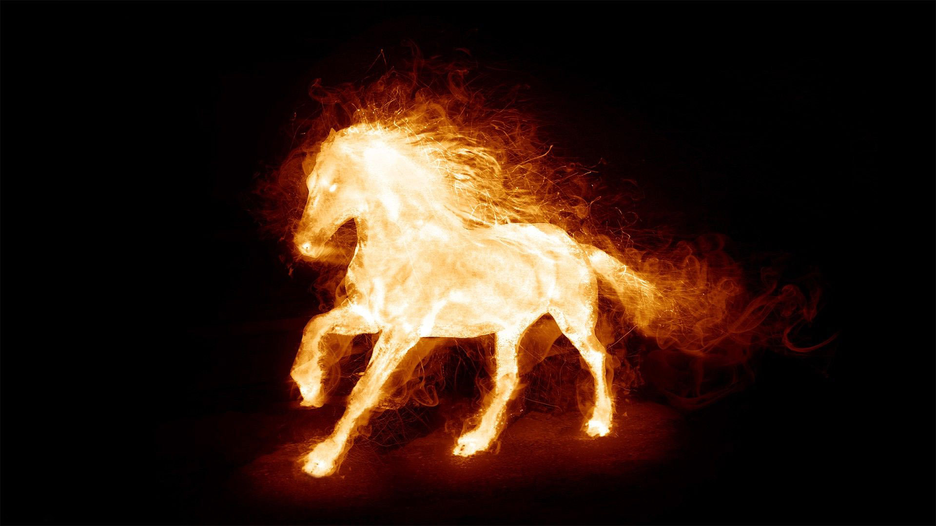 Animated Fire Horse Gif , HD Wallpaper & Backgrounds