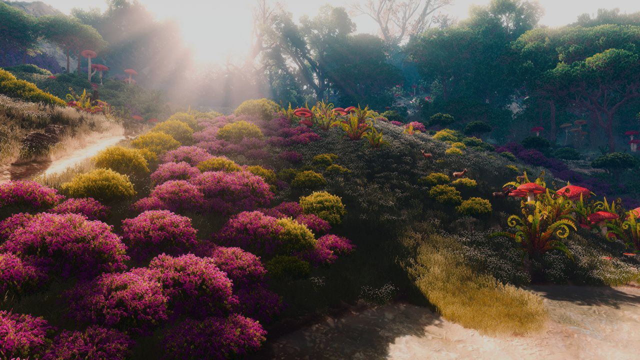 Nature Beautiful Graphics 3d 141632 Hd Wallpaper