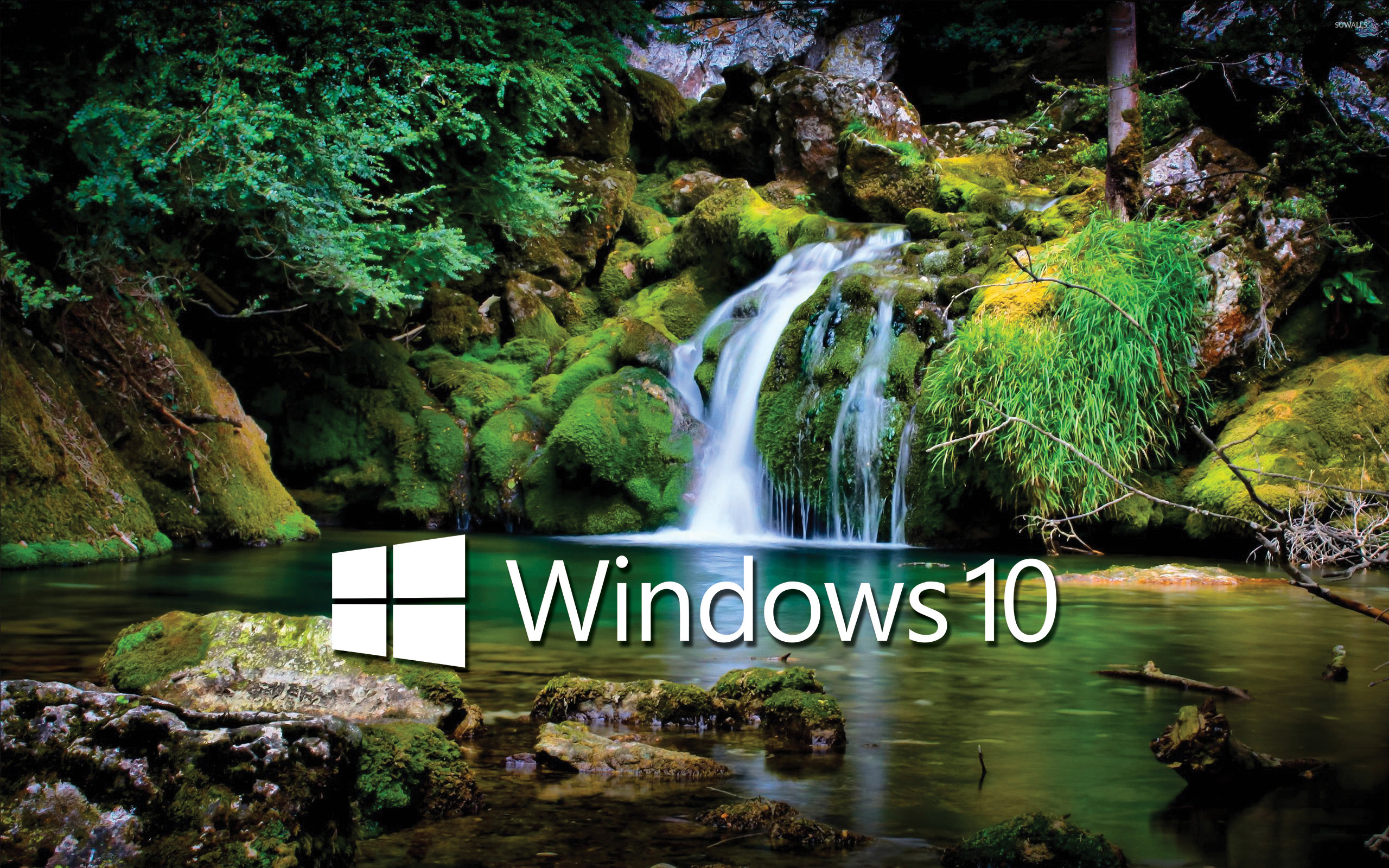 Windows 10 White Text Logo Over The Waterfall Wallpaper - High Resolution Nature Images Hd , HD Wallpaper & Backgrounds