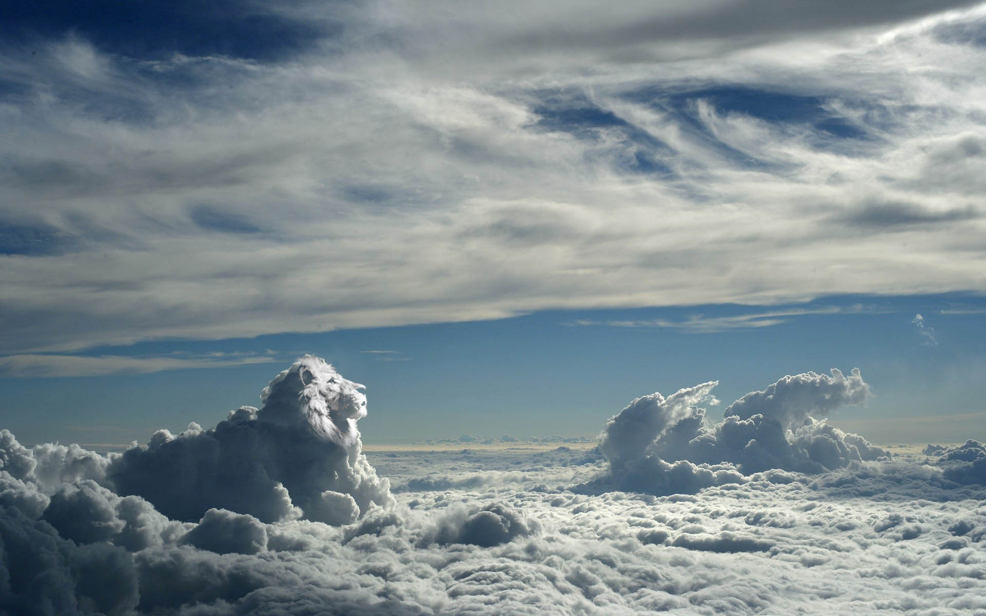 Lion Cloud Wallpaper - View Above The Clouds , HD Wallpaper & Backgrounds