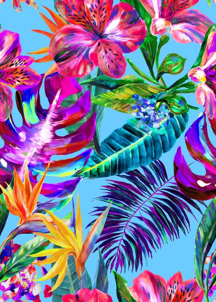 The Hero Print For Cruise 2017 Is A Playful Design - Colorful Tropical , HD Wallpaper & Backgrounds