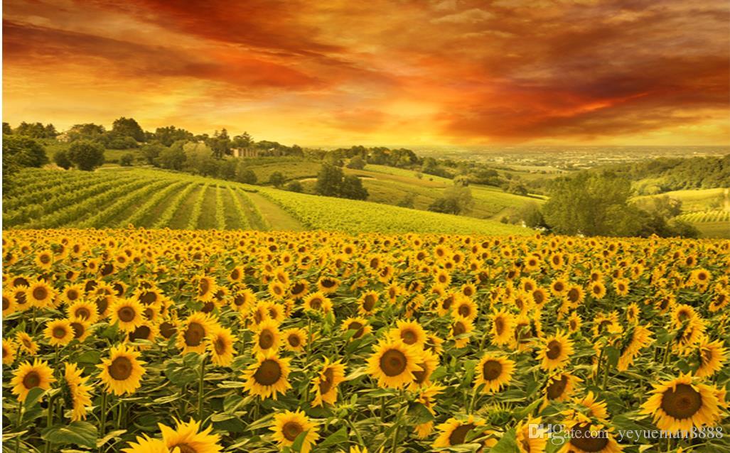 Custom 3d Wall Mural Sunflower Background Angel Wallpaper - Campos De Girassois Na Italia , HD Wallpaper & Backgrounds