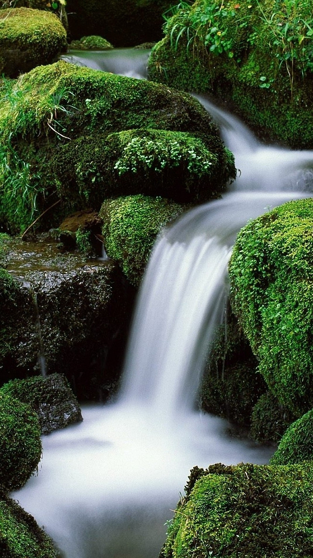 Waterfall Green Forest Iphone 6 Wallpapers Hd - Waterfall Gif , HD Wallpaper & Backgrounds