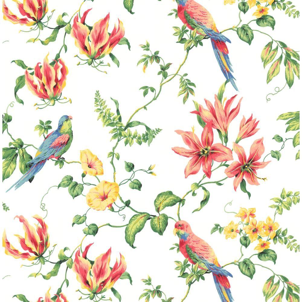 Tropical Bird , HD Wallpaper & Backgrounds