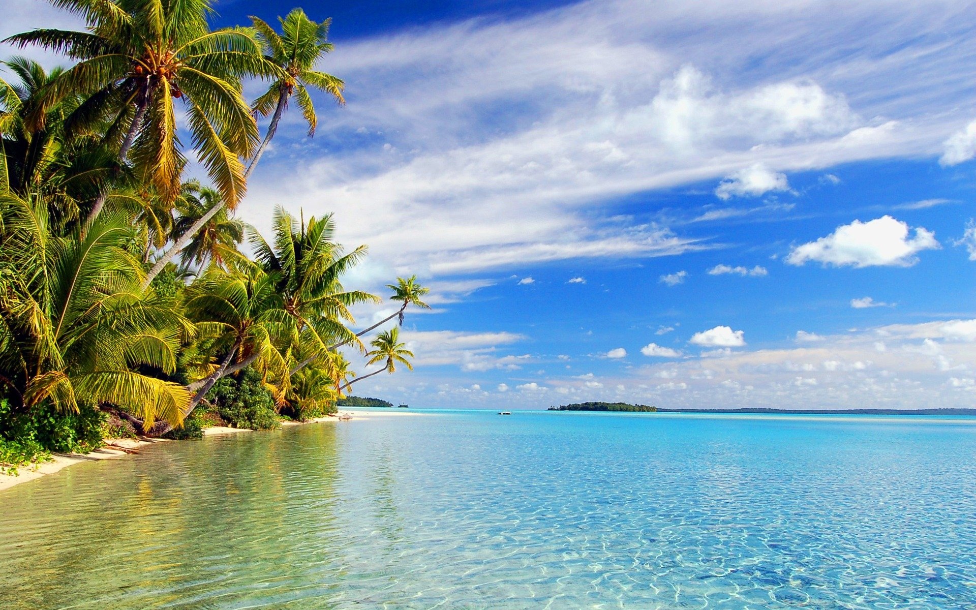 Tropical Wallpaper - Windows 10 Beach Background , HD Wallpaper & Backgrounds
