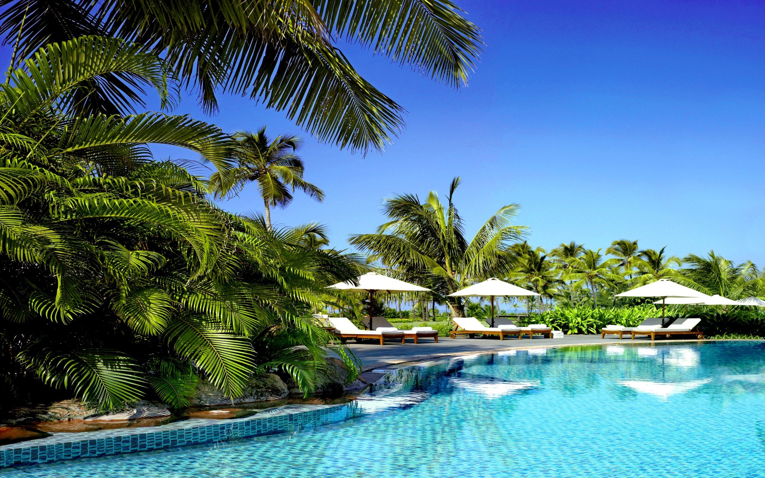 Palm Trees Swimming Pools Tropical Wallpaper - Park Hyatt Goa , HD Wallpaper & Backgrounds