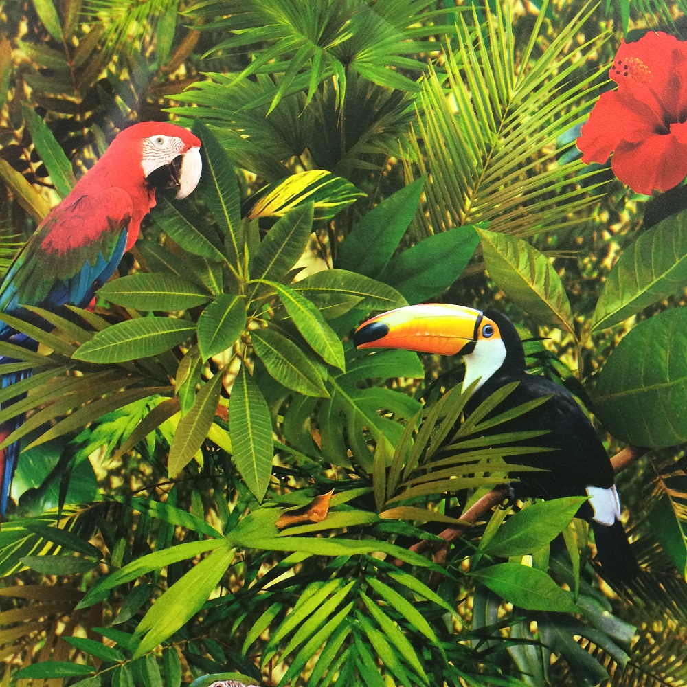 Muriva Tropical Jungle Wallpaper 102555 - Tropical Jungle , HD Wallpaper & Backgrounds