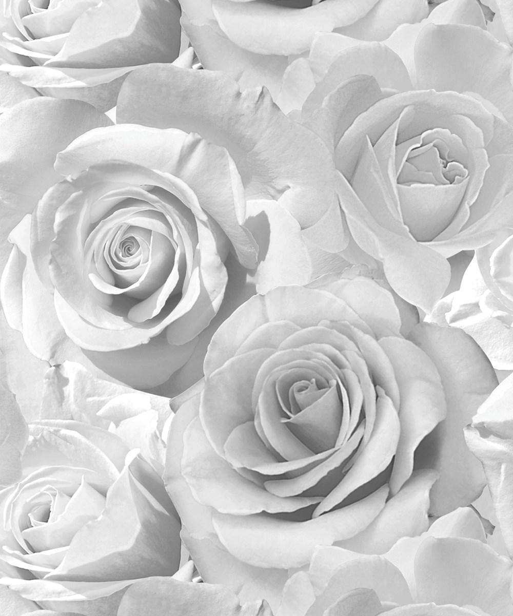 Muriva Madison Glitter Silver Wallpaper - Glitter Roses , HD Wallpaper & Backgrounds