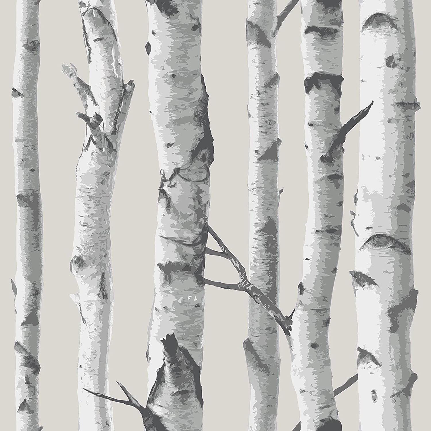 Multi Color Birch Tree Wallpaper - Birch Tree Wallpaper Uk , HD Wallpaper & Backgrounds