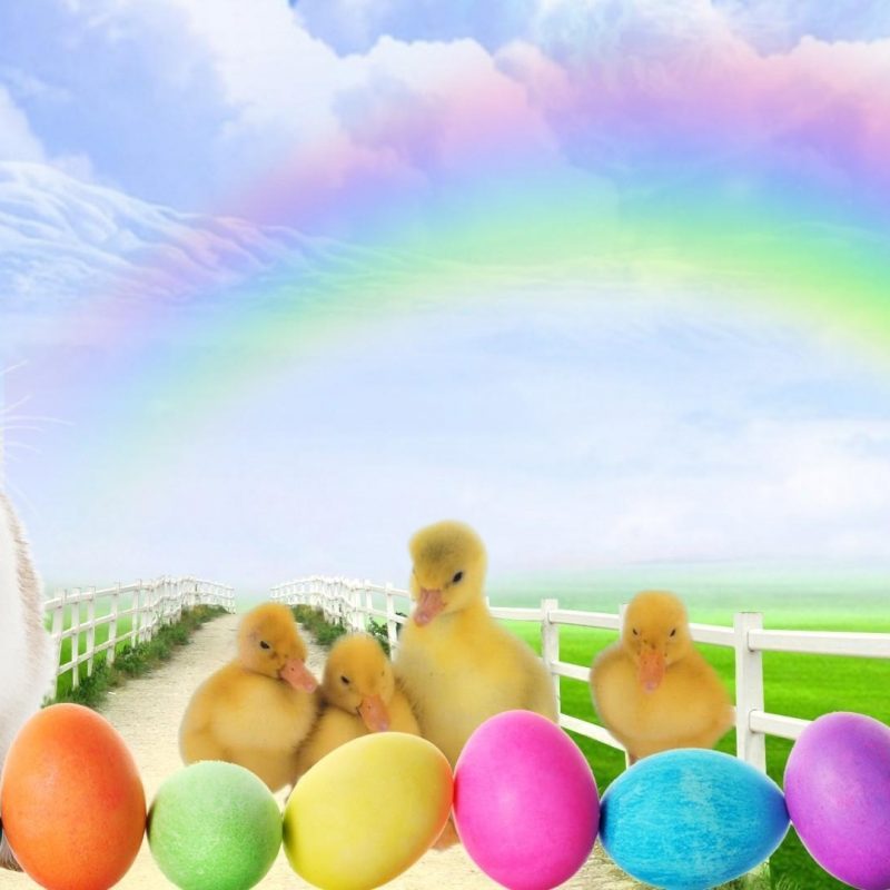 10 Most Popular Easter Bunny Wallpaper Backgrounds - Easter Bunny With Eggs , HD Wallpaper & Backgrounds