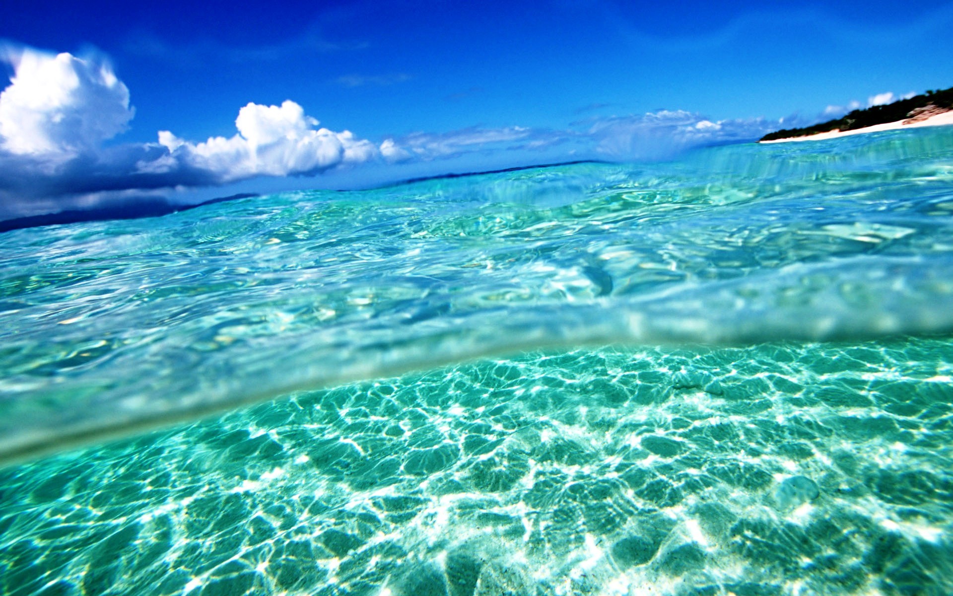 Free Summer Screensavers And Wallpaper - Summer Screensavers , HD Wallpaper & Backgrounds