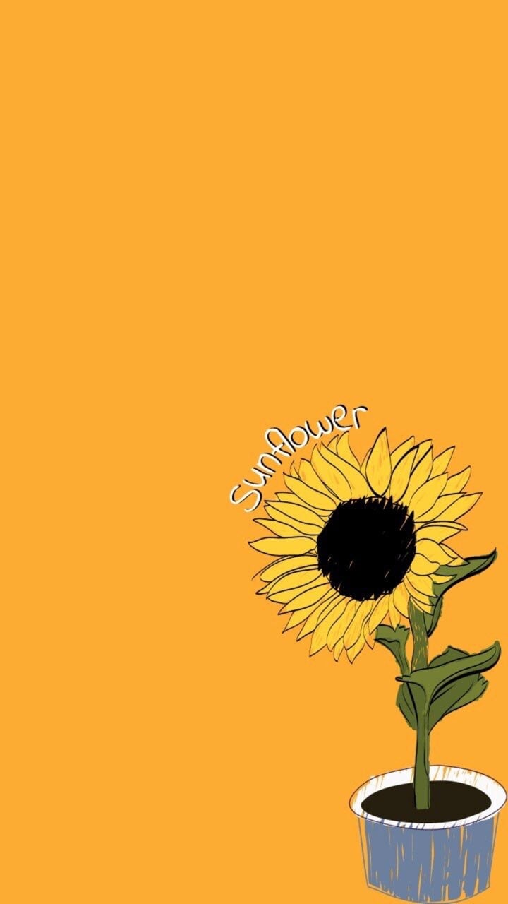 Featured image of post Aesthetic Sunflower Background - Background aesthetic yellow flowers tumblr yellowflowers.