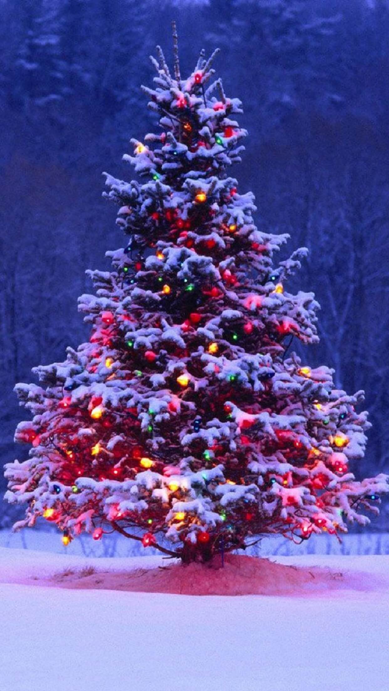 Iphone Wallpaper - Christmas Tree North Pole , HD Wallpaper & Backgrounds