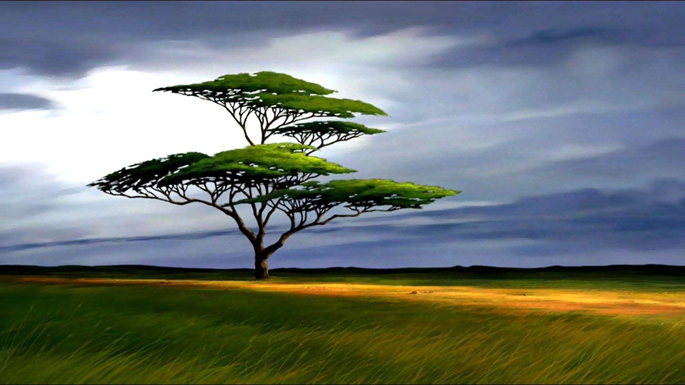 The Lion King Images Tree Wallpaper - Lion King Savannah Background , HD Wallpaper & Backgrounds