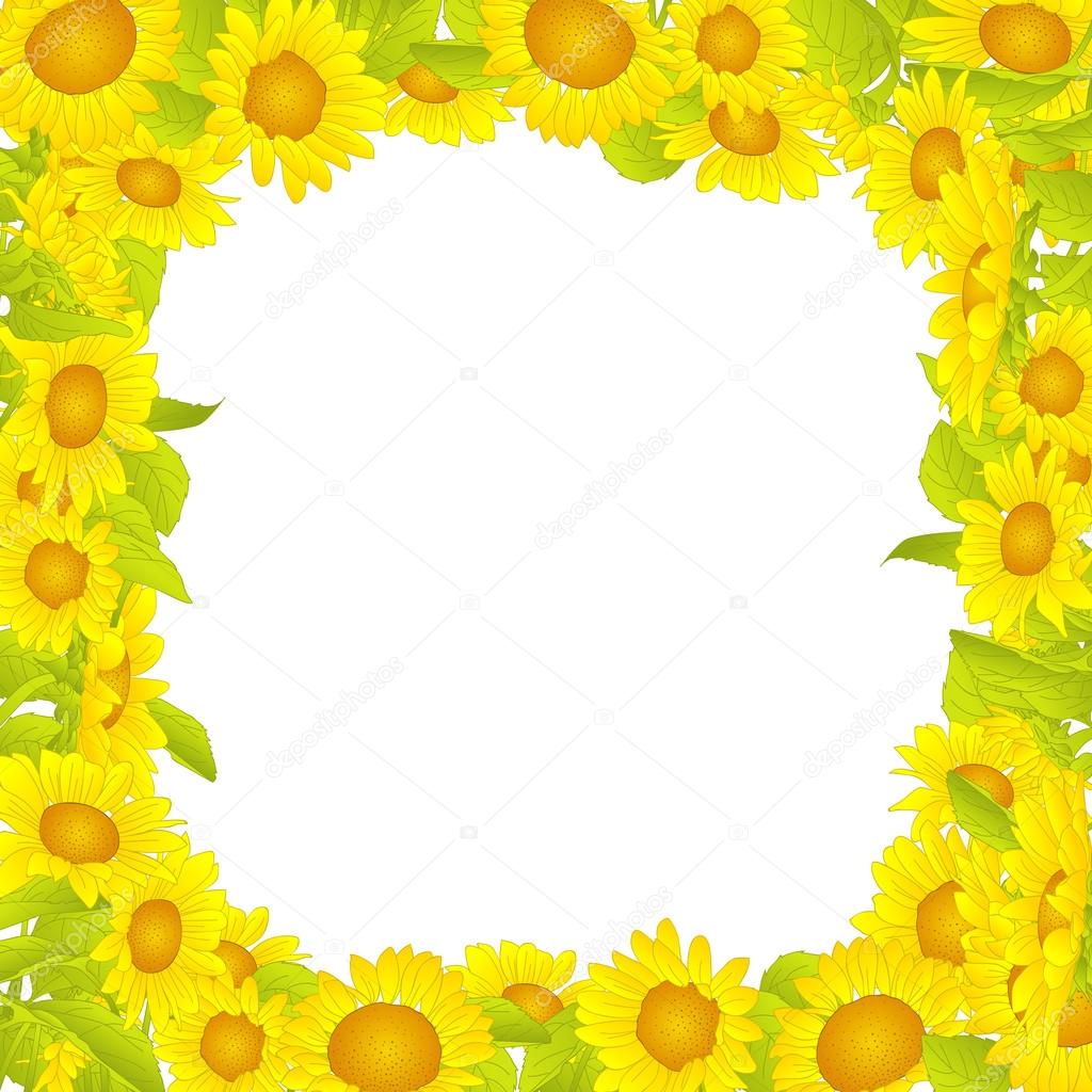 Sunflower Frame, Sunflower Wallpaper Stock Vector - Sunflower , HD Wallpaper & Backgrounds