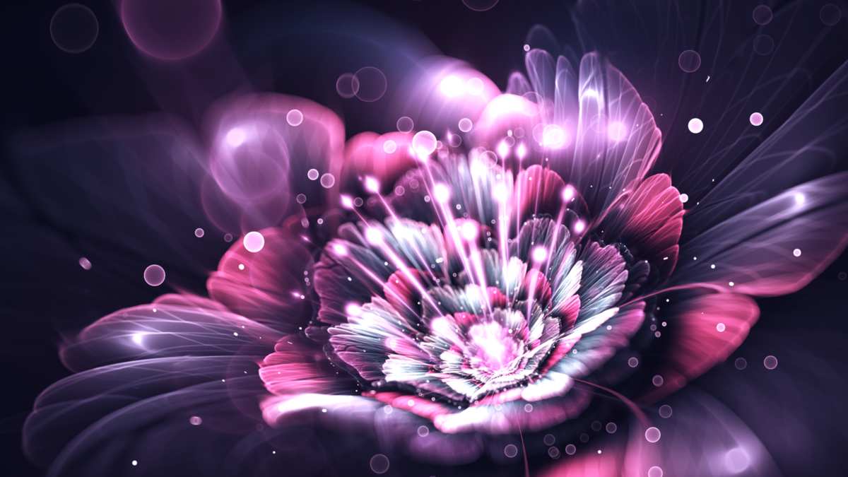 You Will Feel More Natural Than The Wallpaper Of Flowers - Flowers Desktop Most Beautiful , HD Wallpaper & Backgrounds