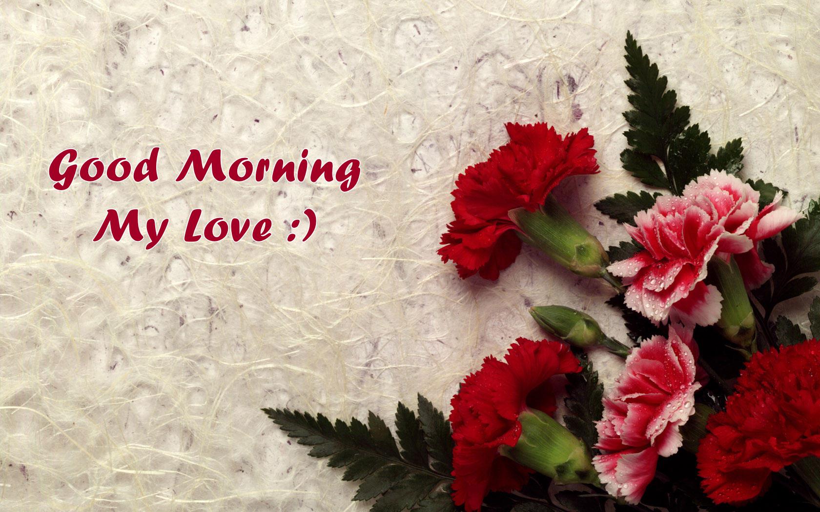 Good Night Rose Wallpaper Download Romantic Good Morning Quotes