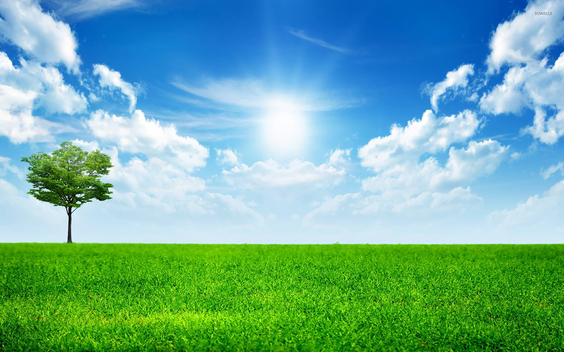 Sunny Blue Sky Wallpaper - Sunny Day Background , HD Wallpaper & Backgrounds