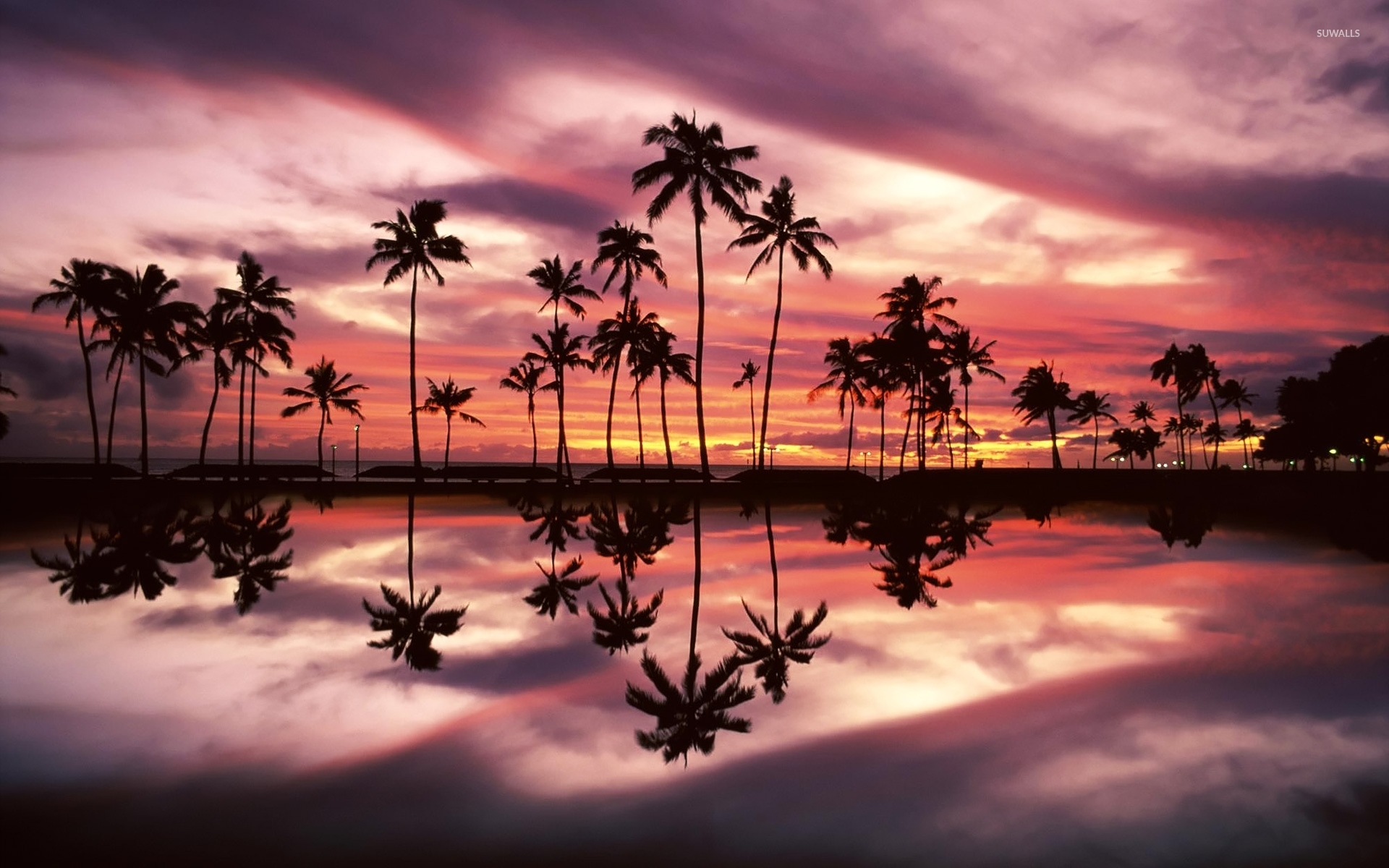 Beautiful Sunset Sky Behind The Palm Trees By The Ocean - Ocean And Palm Trees , HD Wallpaper & Backgrounds