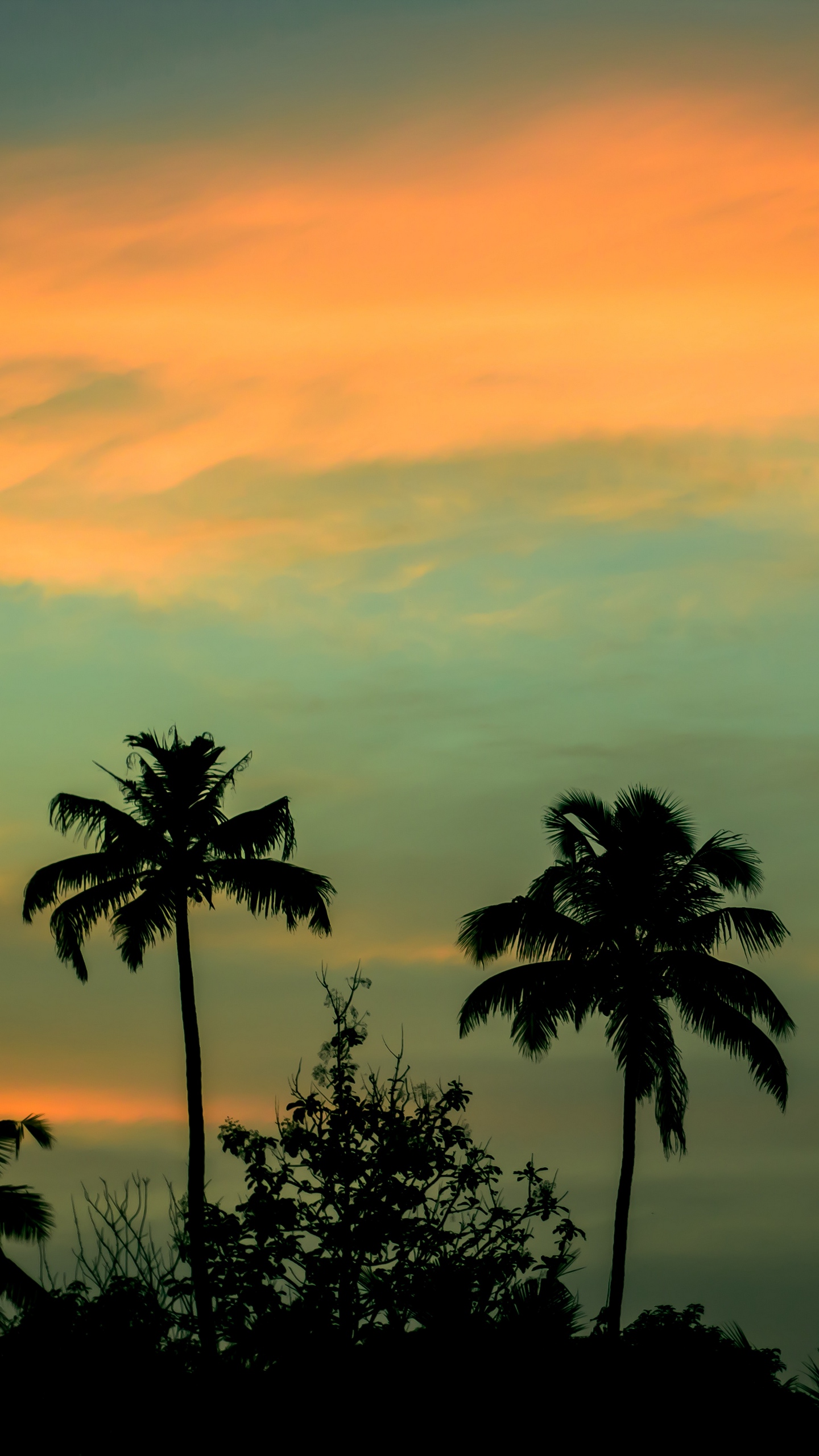 Wallpaper Palms, Sunset, Sky - Palm Trees Wallpaper Iphone X , HD Wallpaper & Backgrounds