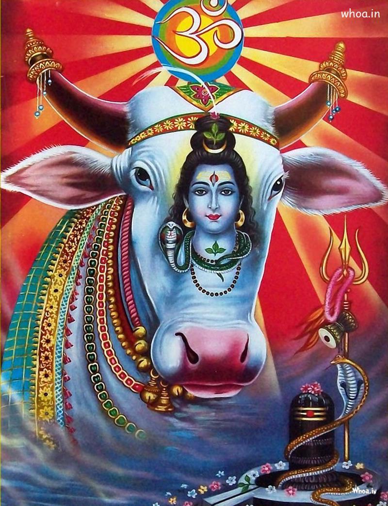 God Shiva Hd Wallpaper Free Download , HD Wallpaper & Backgrounds