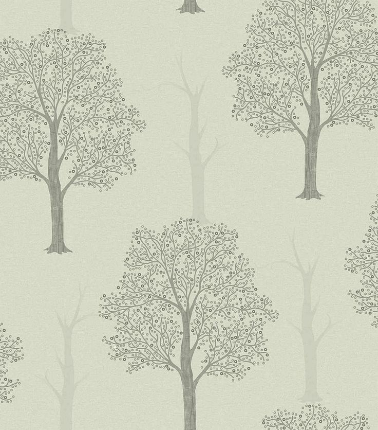 Ornella Tree , HD Wallpaper & Backgrounds