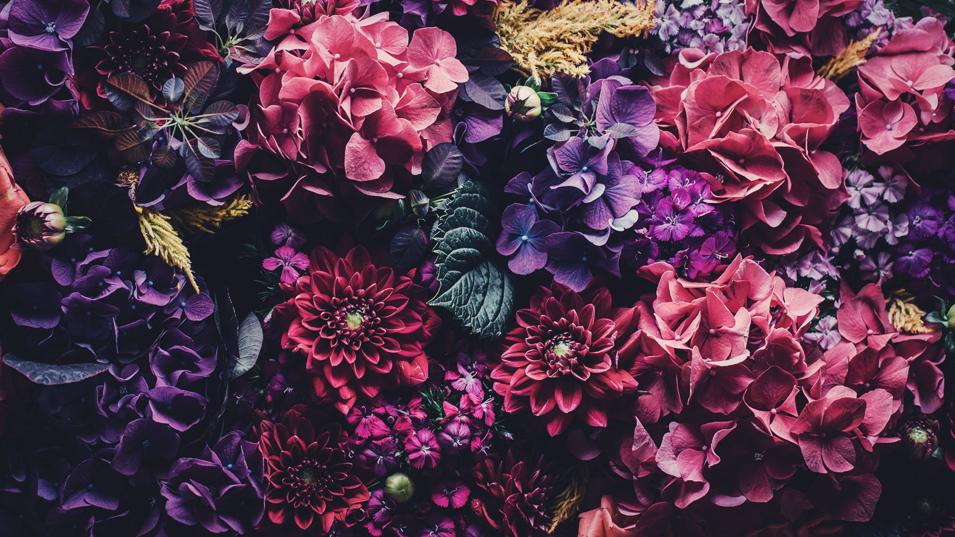 5 Floral Iphone Wallpapers To Celebrate 65k Pinterest - Glitter Rose
