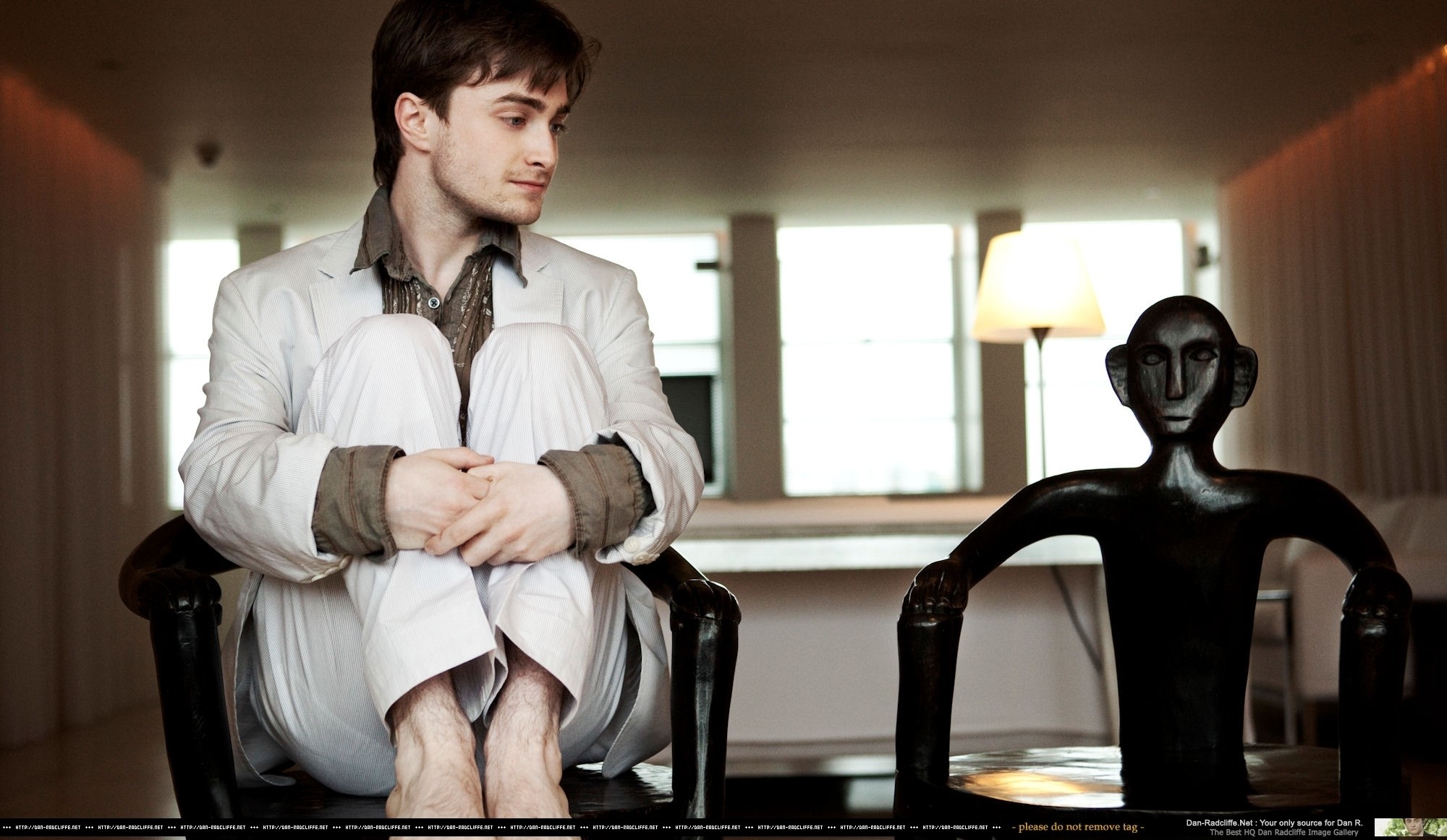 Harry, Ron, Hermione & Ginny Images Daniel Radcliffe - Videos De Daniel Radcliffe , HD Wallpaper & Backgrounds
