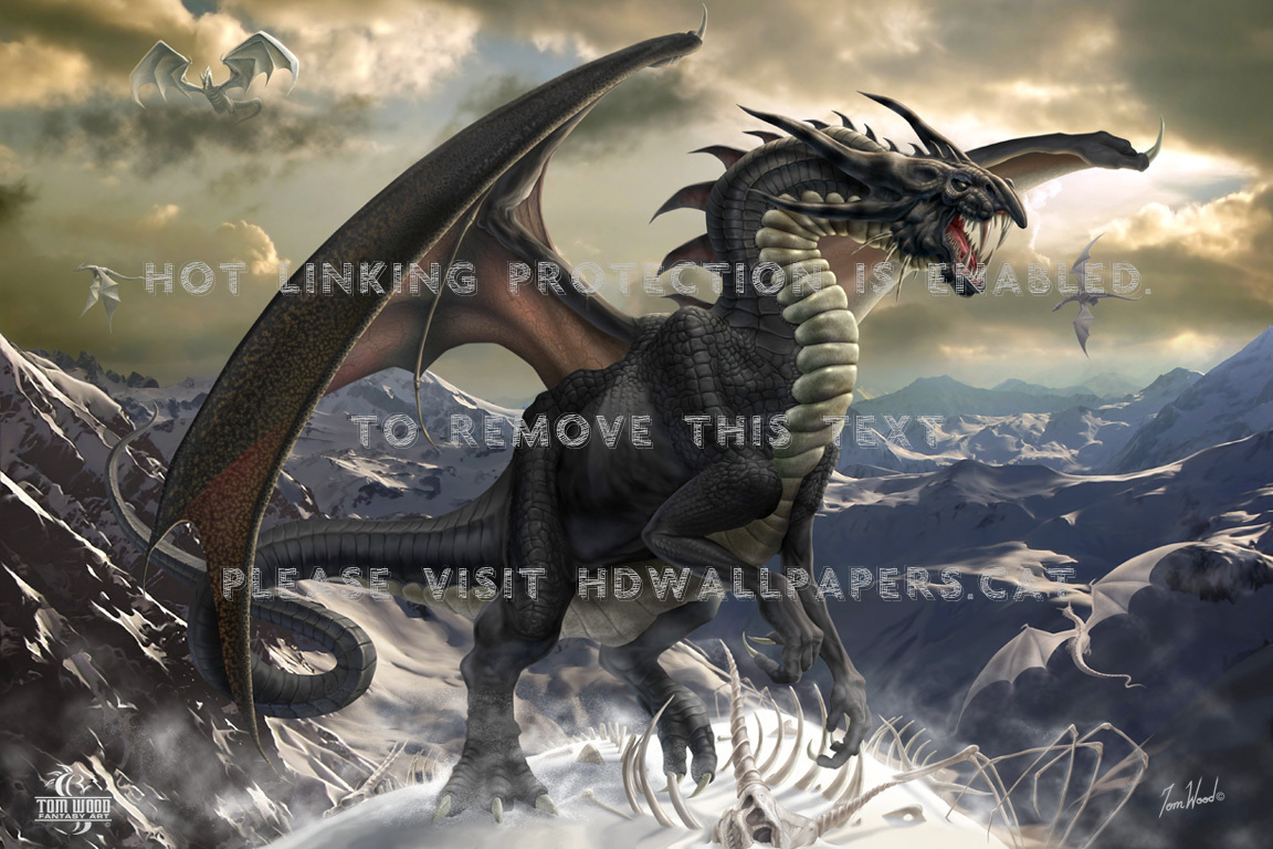 Rogue Dragon , HD Wallpaper & Backgrounds